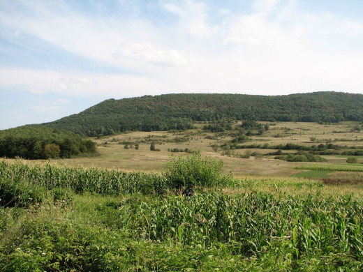 35754 (a): :1024x768